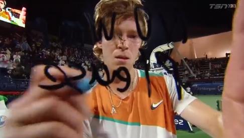 内里却埋着 内里却埋着