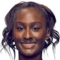 业权的交叉 业权的交叉